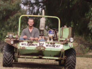 Anne O'Loughlin"s Wildcat Pics